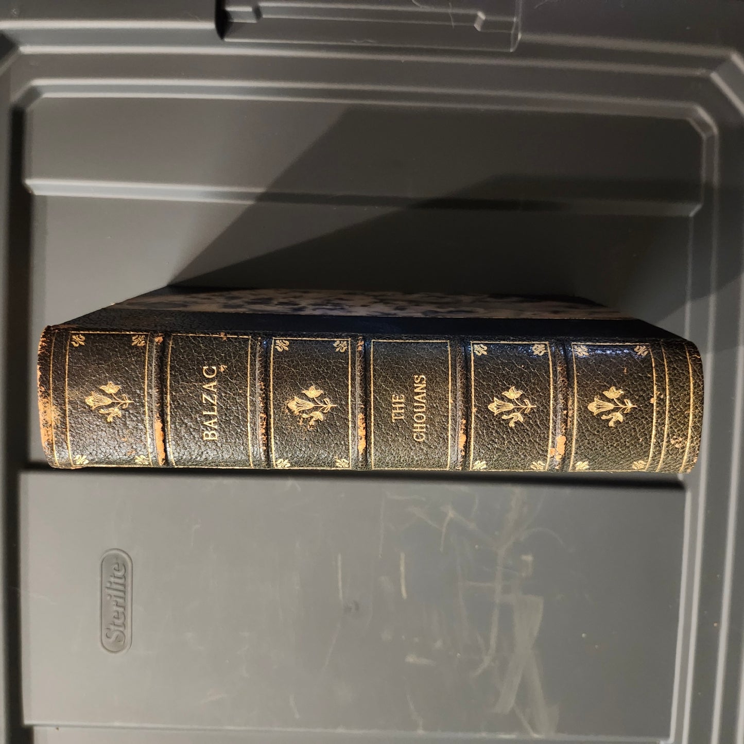 Honoré de Balzac Set