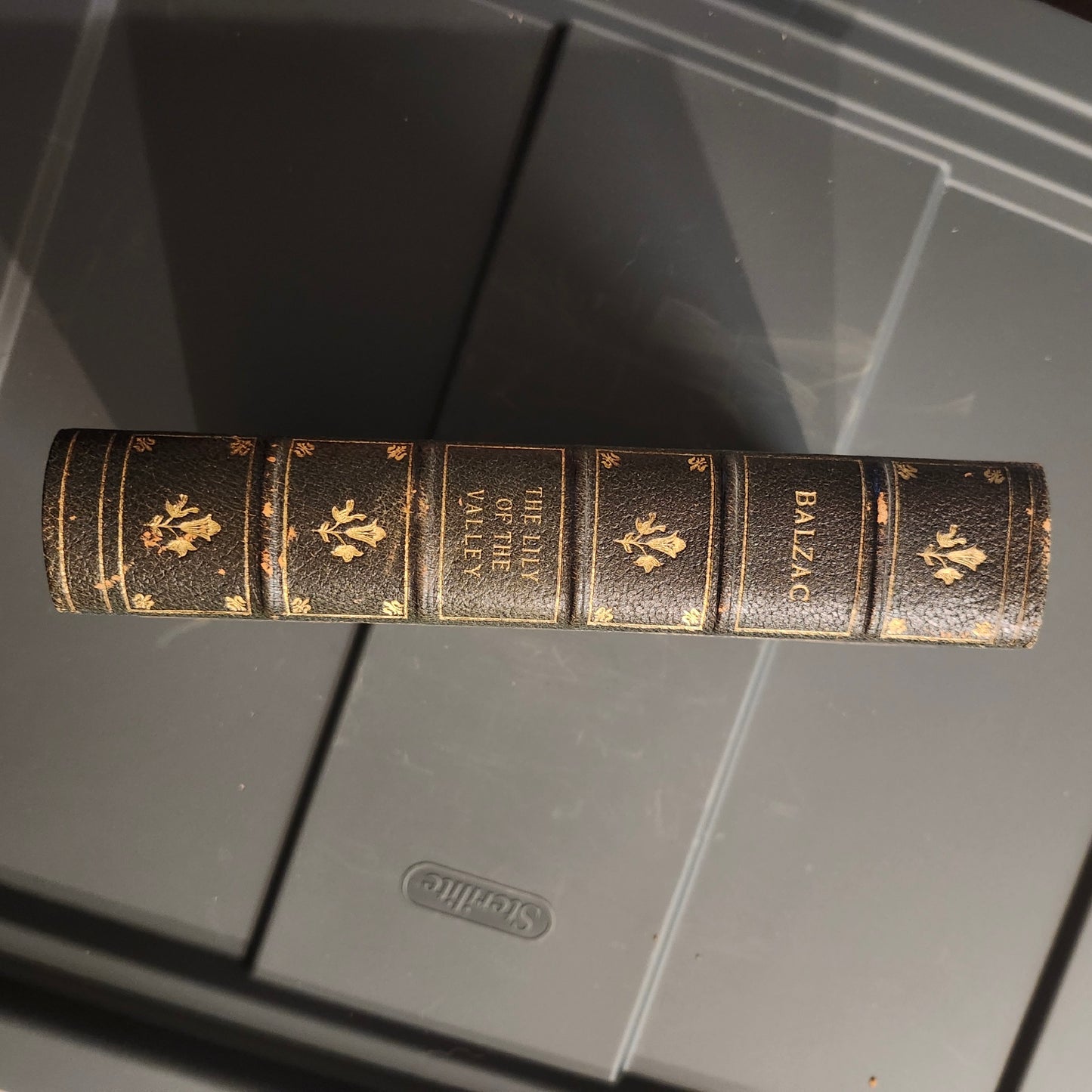 Honoré de Balzac Set