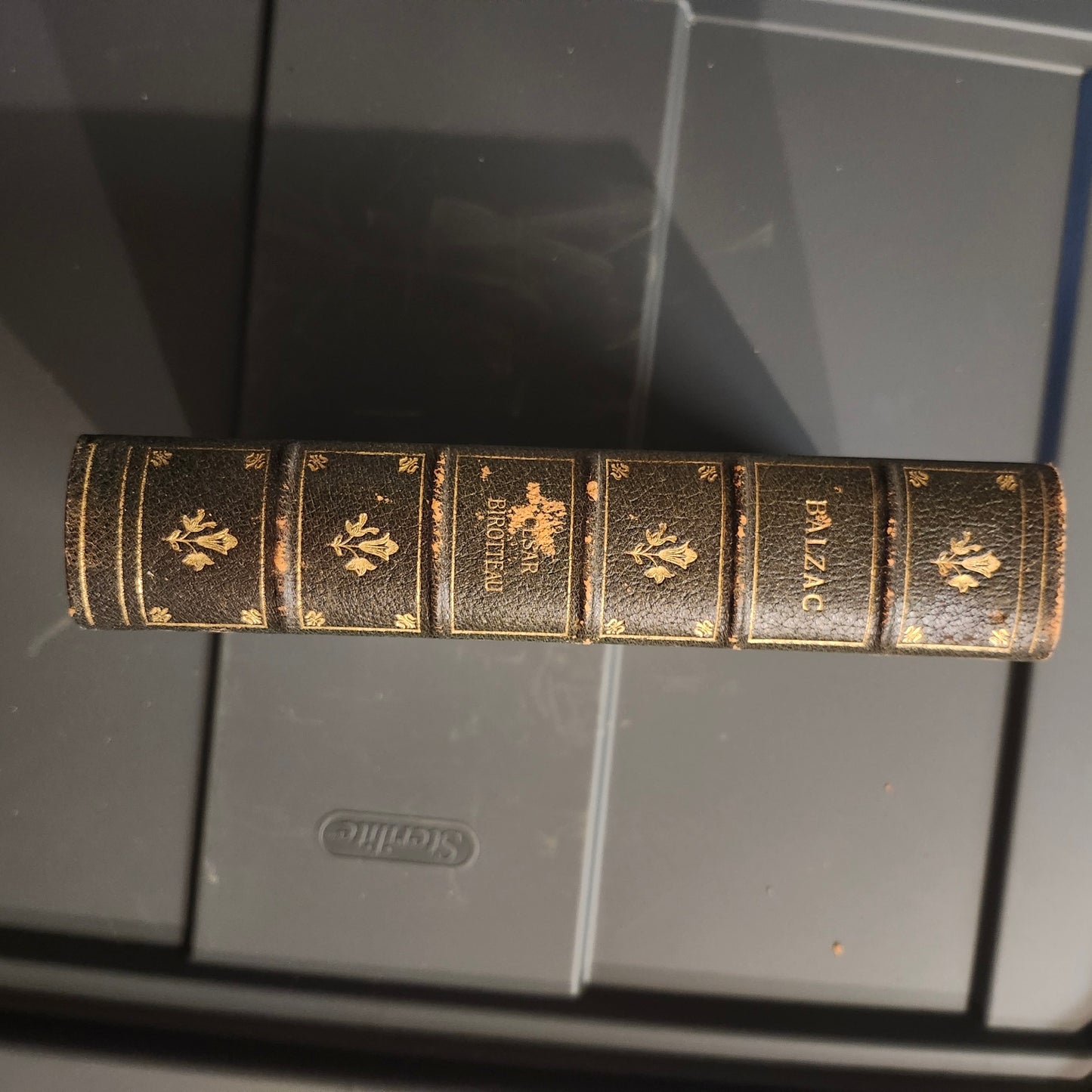 Honoré de Balzac Set