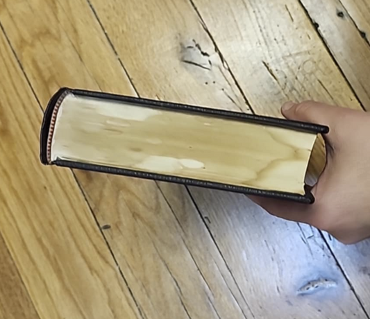 GRESLEY'S EQUITY EVIDENCE