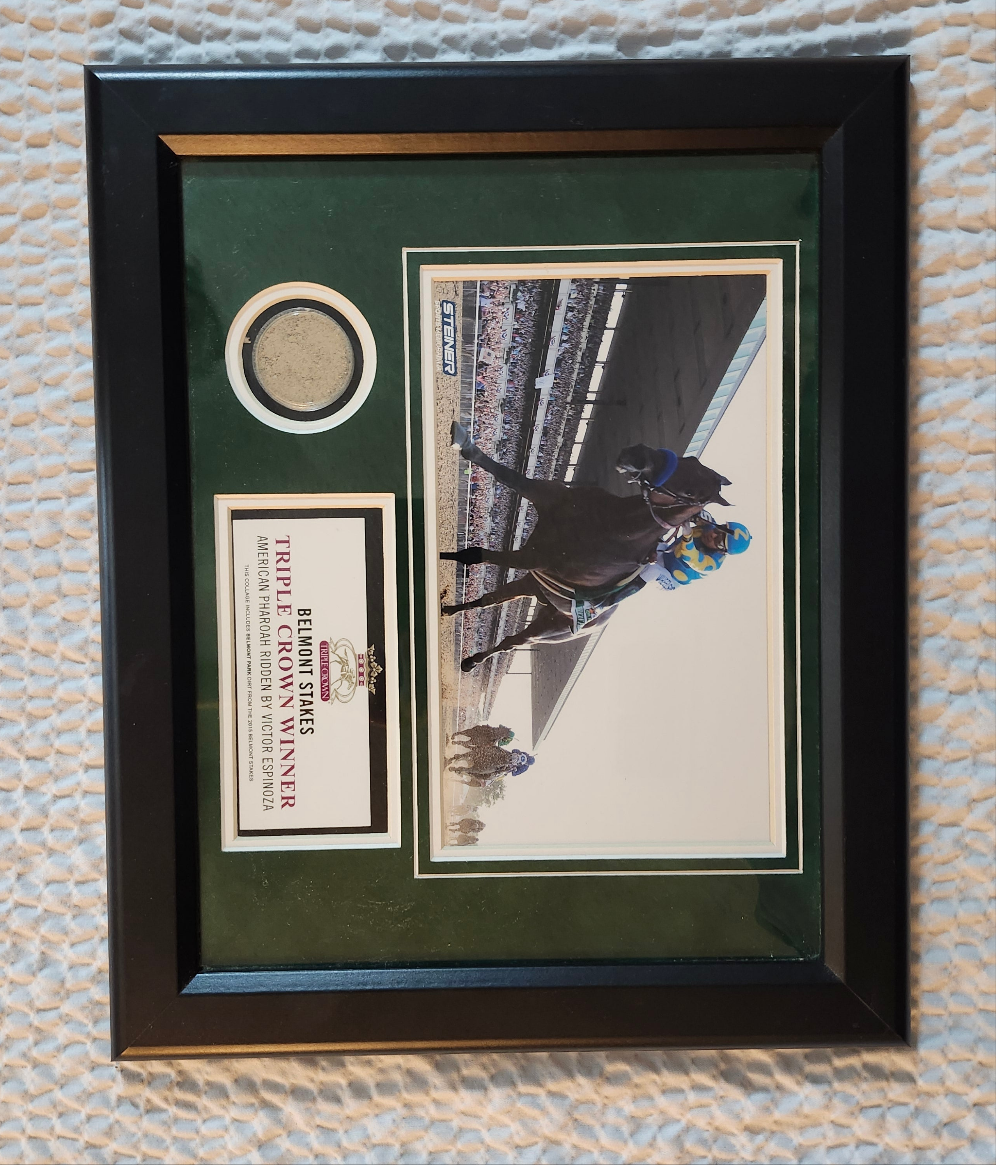 2015 Belmont Winner