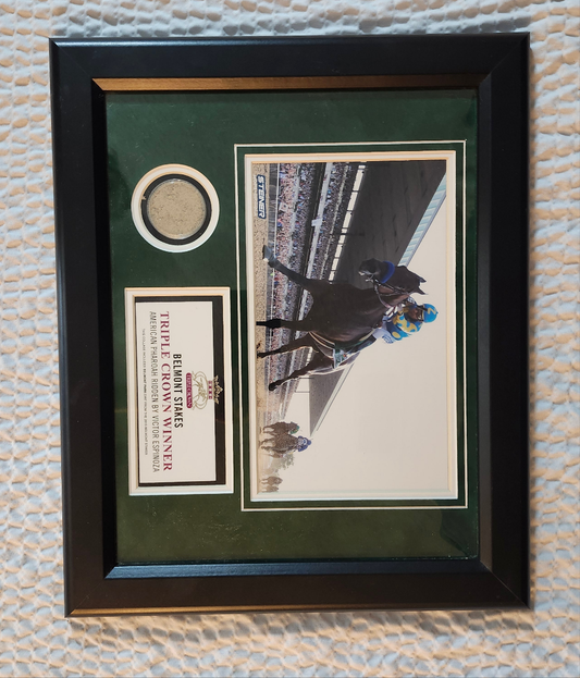 2015 Belmont Winner